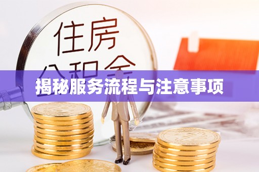 石屏揭秘服务流程与注意事项