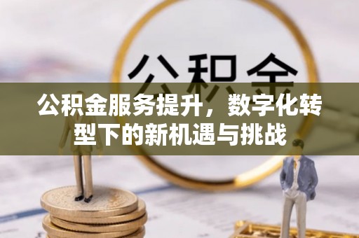 石屏公积金服务提升，数字化转型下的新机遇与挑战