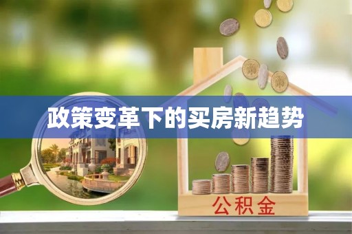 石屏政策变革下的买房新趋势
